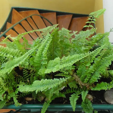 Apartment Santa Barbara *